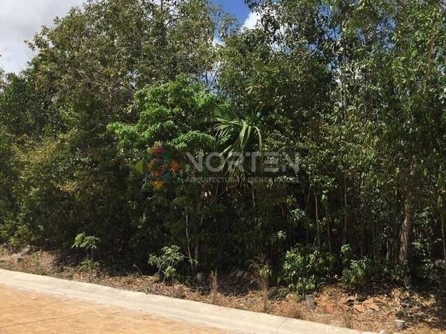 #NVT 010 - Terreno para Venta en Cancún - QR - 3