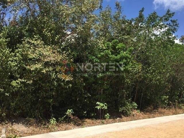 #NVT 010 - Terreno para Venta en Cancún - QR - 2