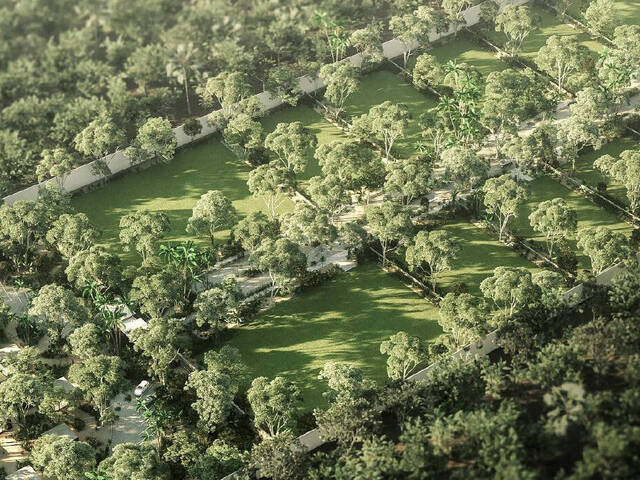 #NVDE 007 - Terreno para Venta en Tulum - QR - 2