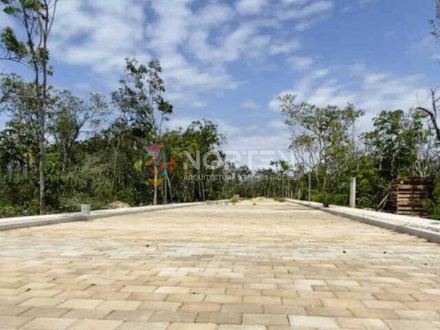 #NVDE 010 - Terreno para Venta en Tulum - QR