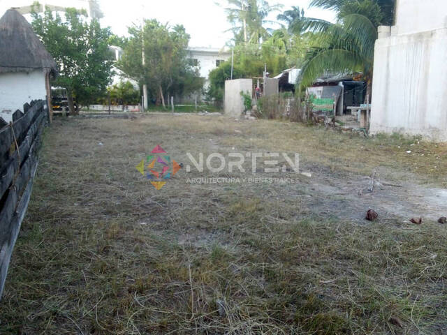 #NVT 041 - Terreno para Venta en Lázaro Cárdenas - QR - 3