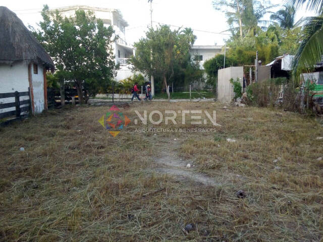 Terreno para Venta en Lázaro Cárdenas - 4