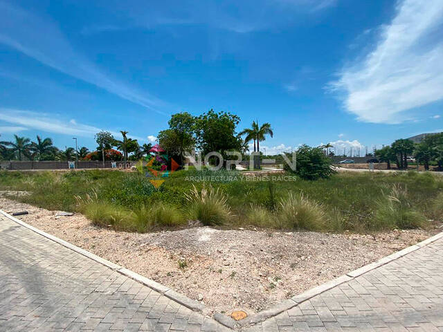 #NVT 047 - Terreno para Venta en Cancún - QR - 1