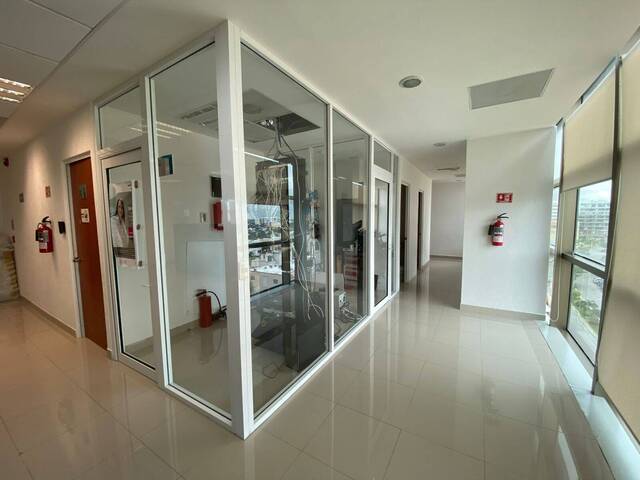 #NRL 070 - Local Comercial para Renta en Cancún - QR - 3